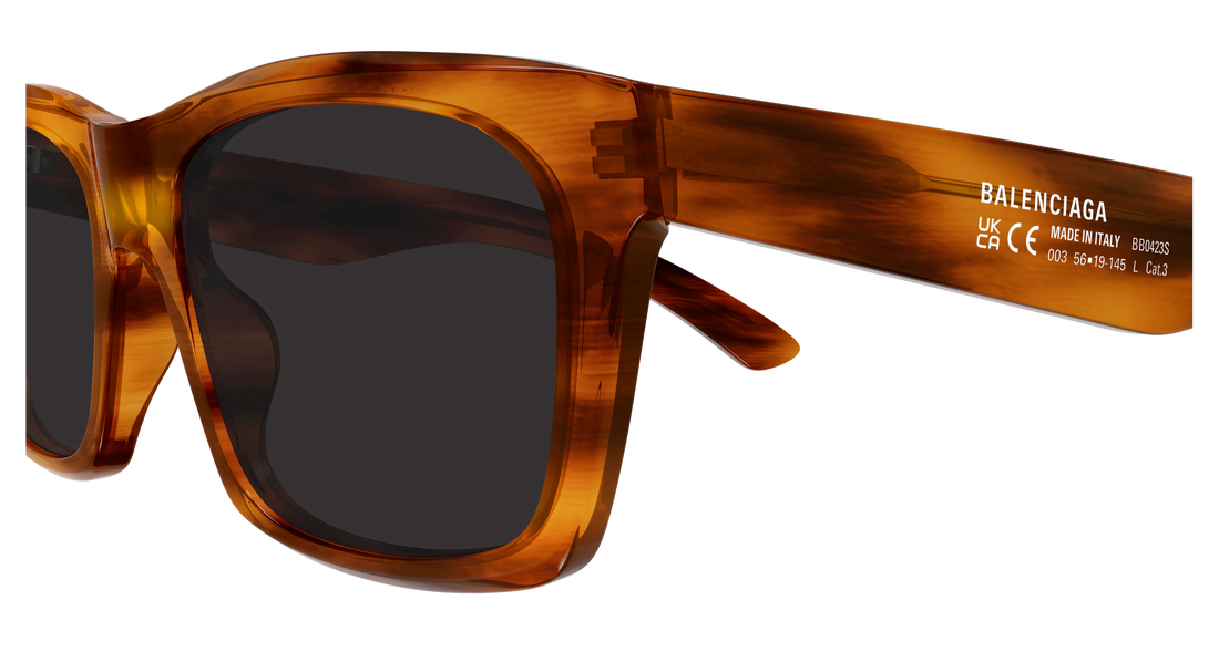BALENCIAGA BB0423S 003 56