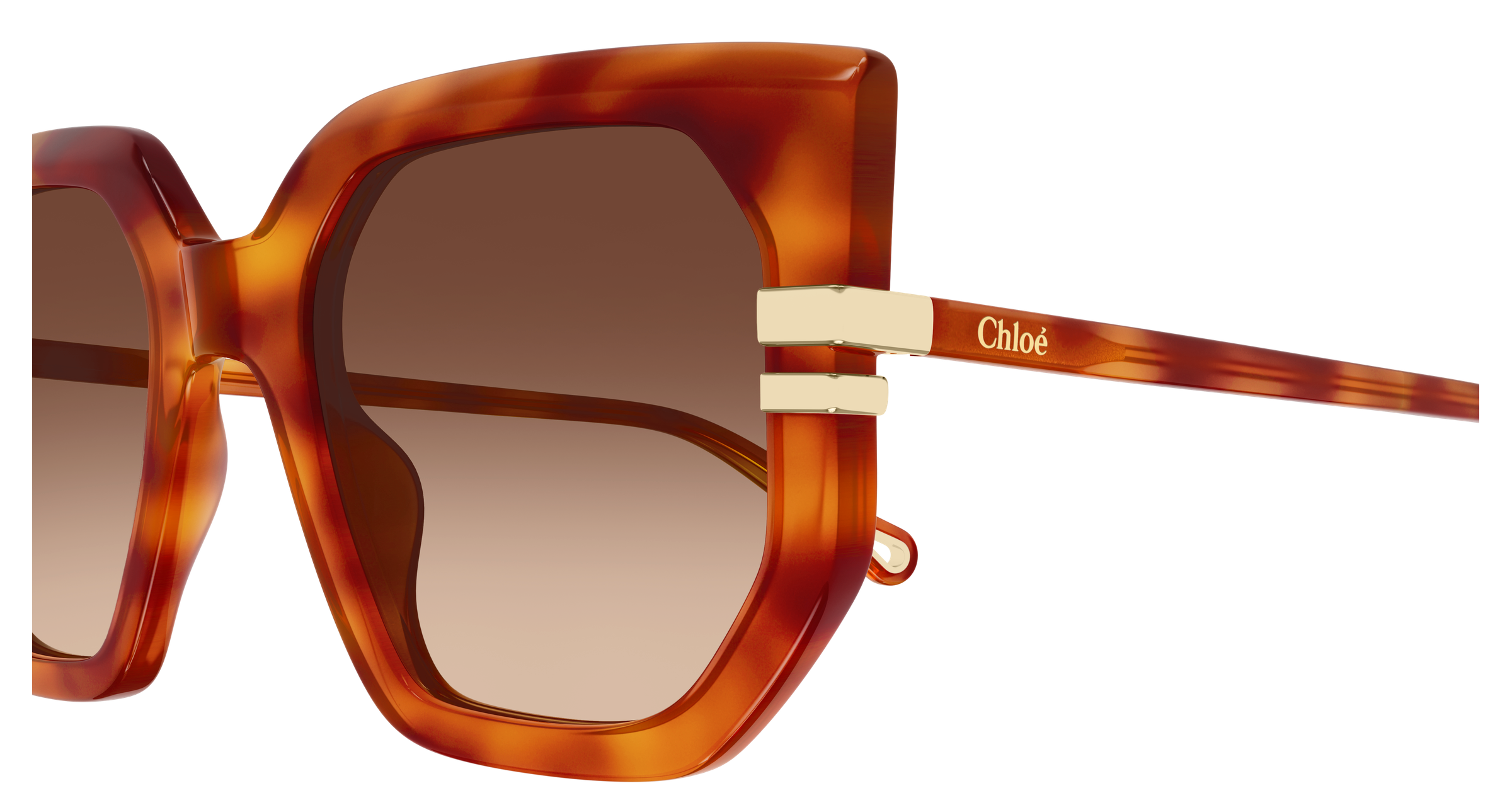 CHLOÉ CH0240S 007 53