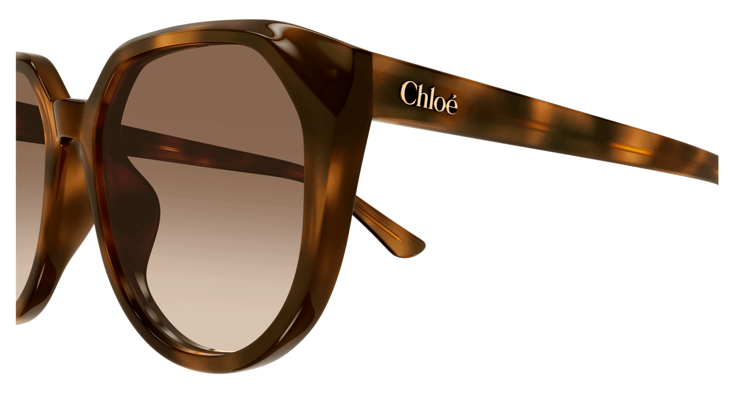 CHLOÉ CH0291SK 003 58