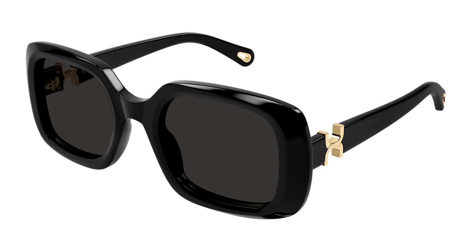 CHLOÉ CH0333S 001 53