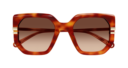 CHLOÉ CH0240S 007 53