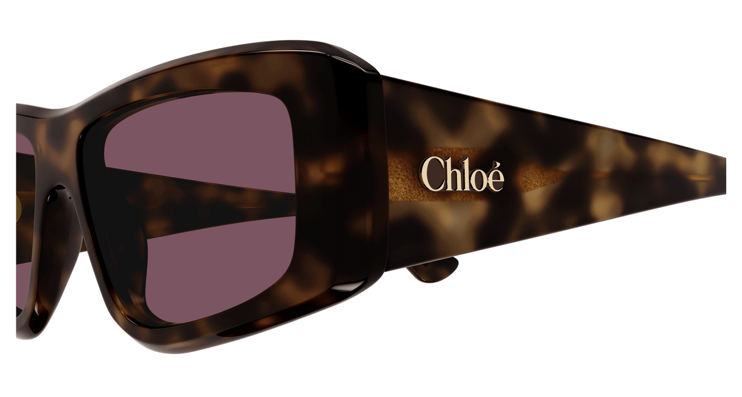CHLOÉ CH0299S 002 55