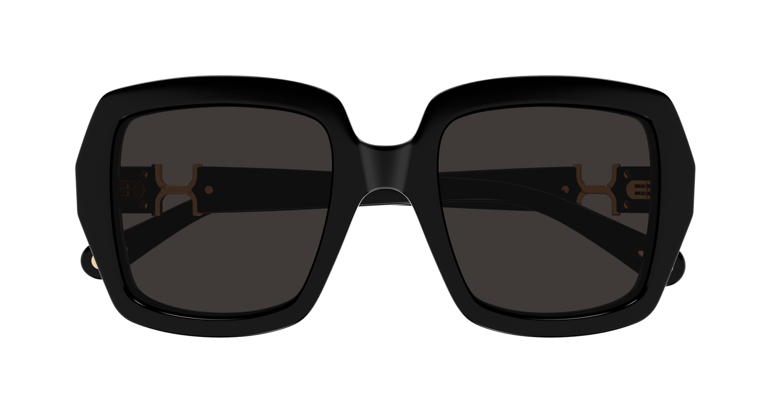 CHLOÉ CH0301S 001 52