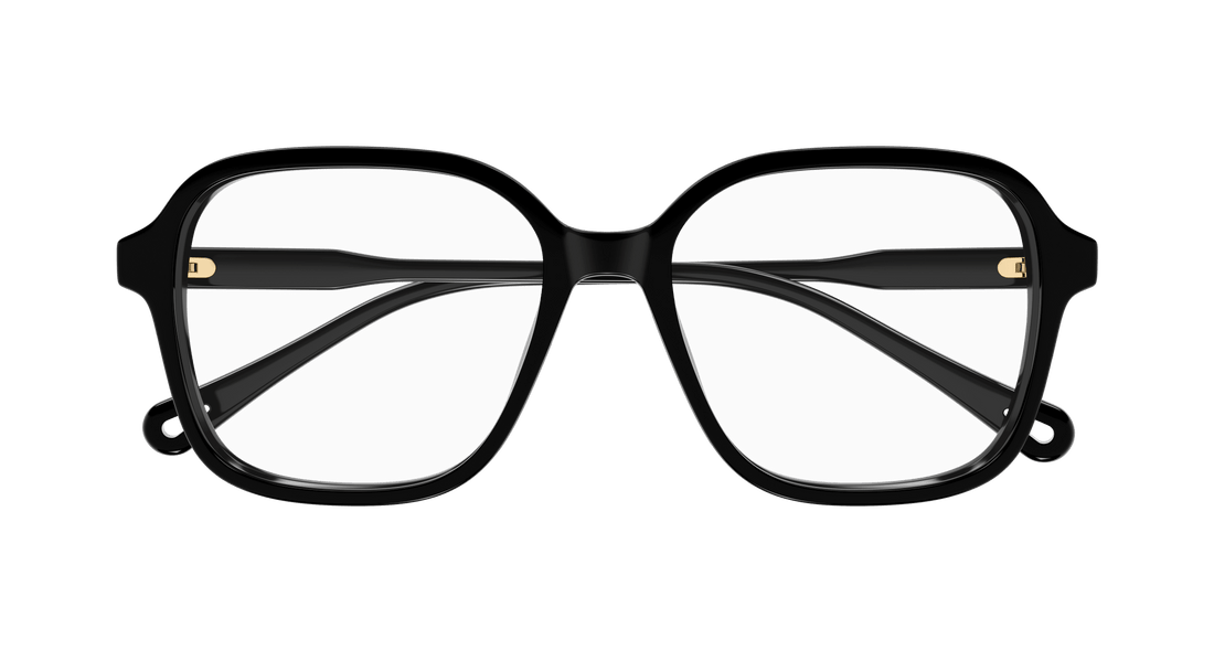 CHLOÉ CH0313O 001 54