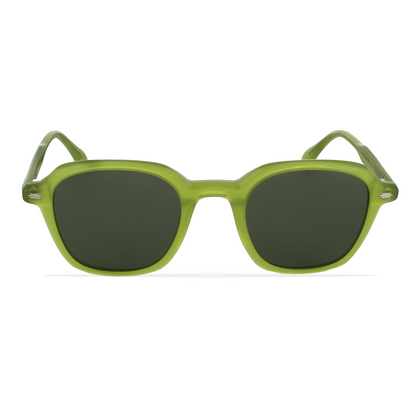 GREYHOUNDERS ANN GREEN 50