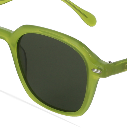 GREYHOUNDERS ANN GREEN 50