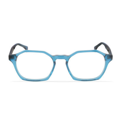 GREYHOUNDERS BLAKE C4 53 - 16