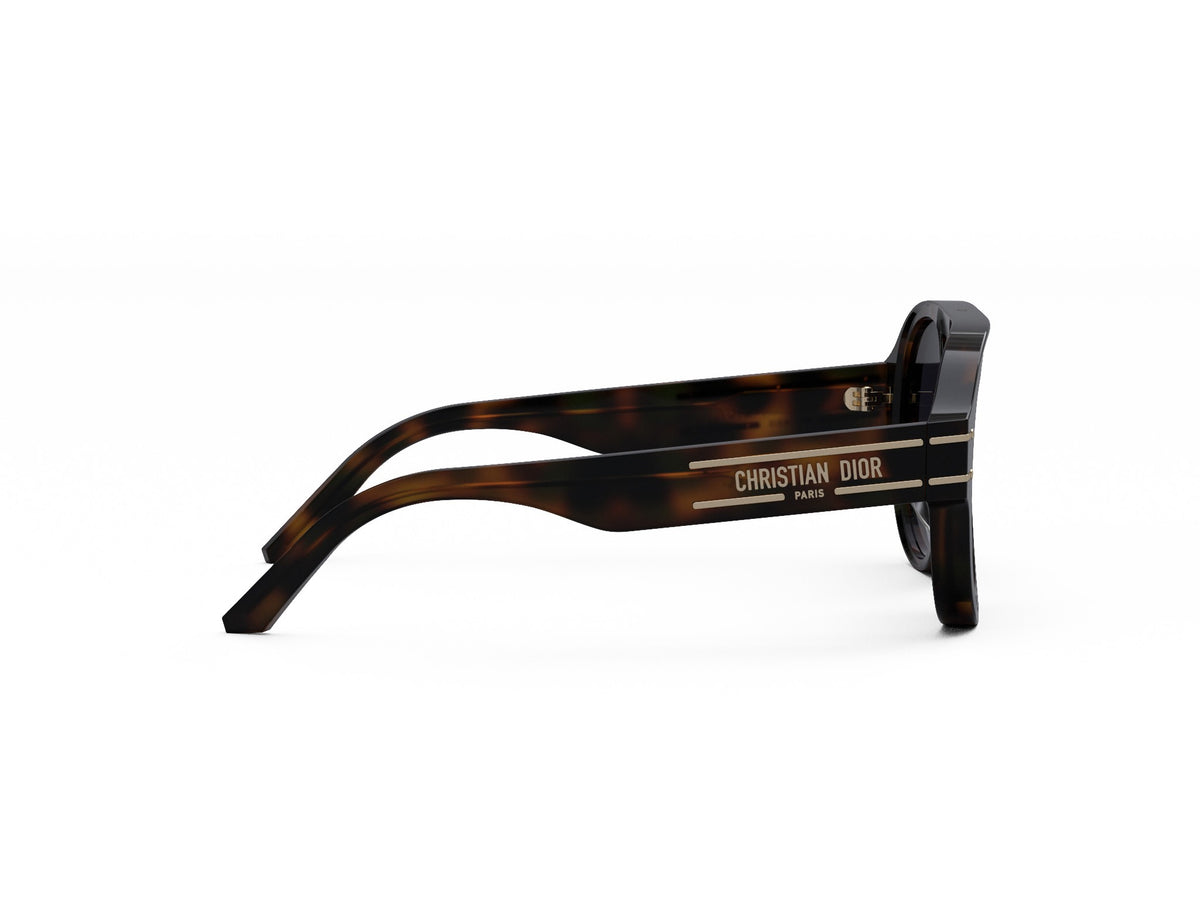 DIORSIGNATURE A1U 26A1 58