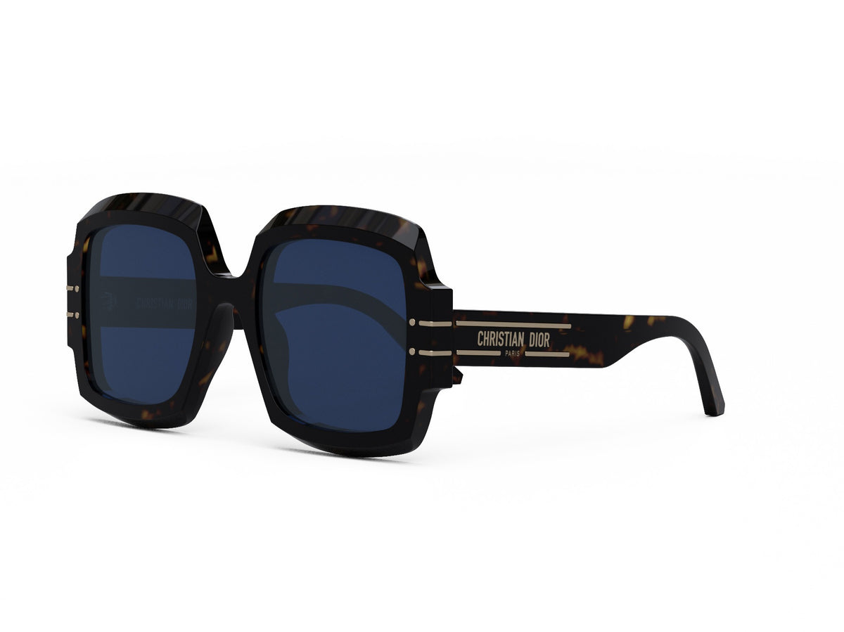 DIORSIGNATURE S1U 20B0 55