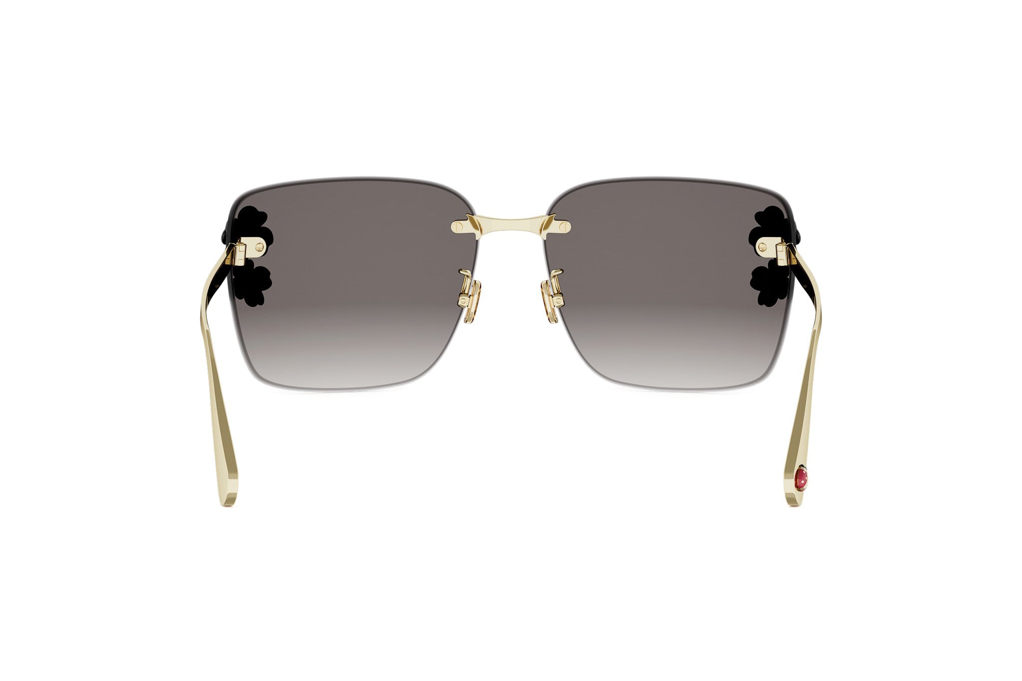 DIOR CLOVER S2U B0A1 62