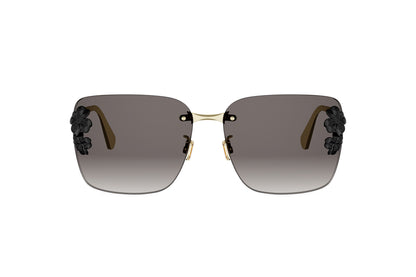 DIOR CLOVER S2U B0A1 62