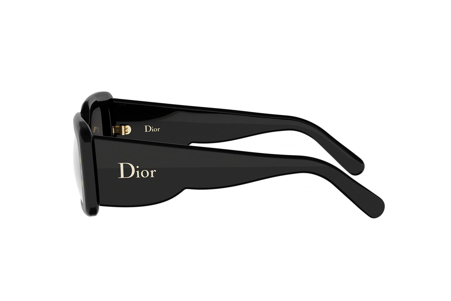 DIORLUCKYCHARMS S1I 10A0 51