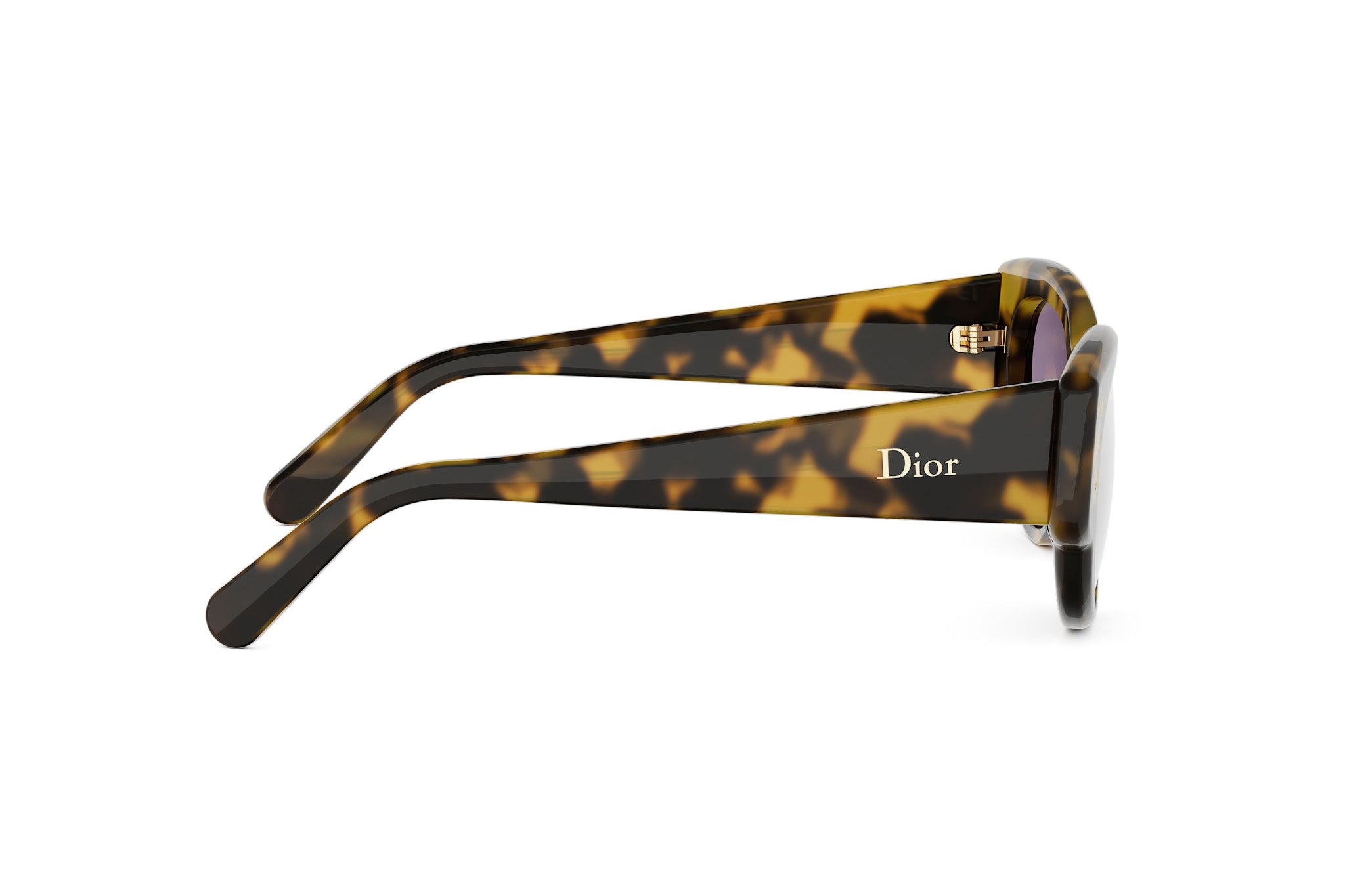 DIORLUCKYCHARMS B1I 20G2 53