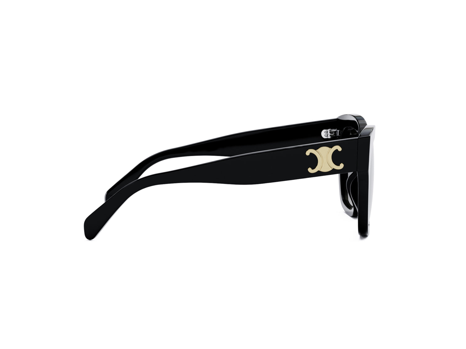 CELINE TRIOMPHE CL40253I 01F 55