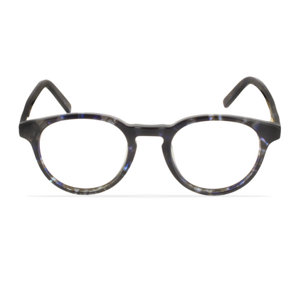 GREYHOUNDERS JUDE BLACK 46 - 17