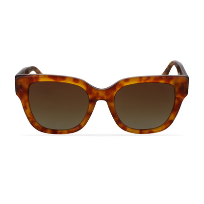 GREYHOUNDERS LYRA HONEY 52