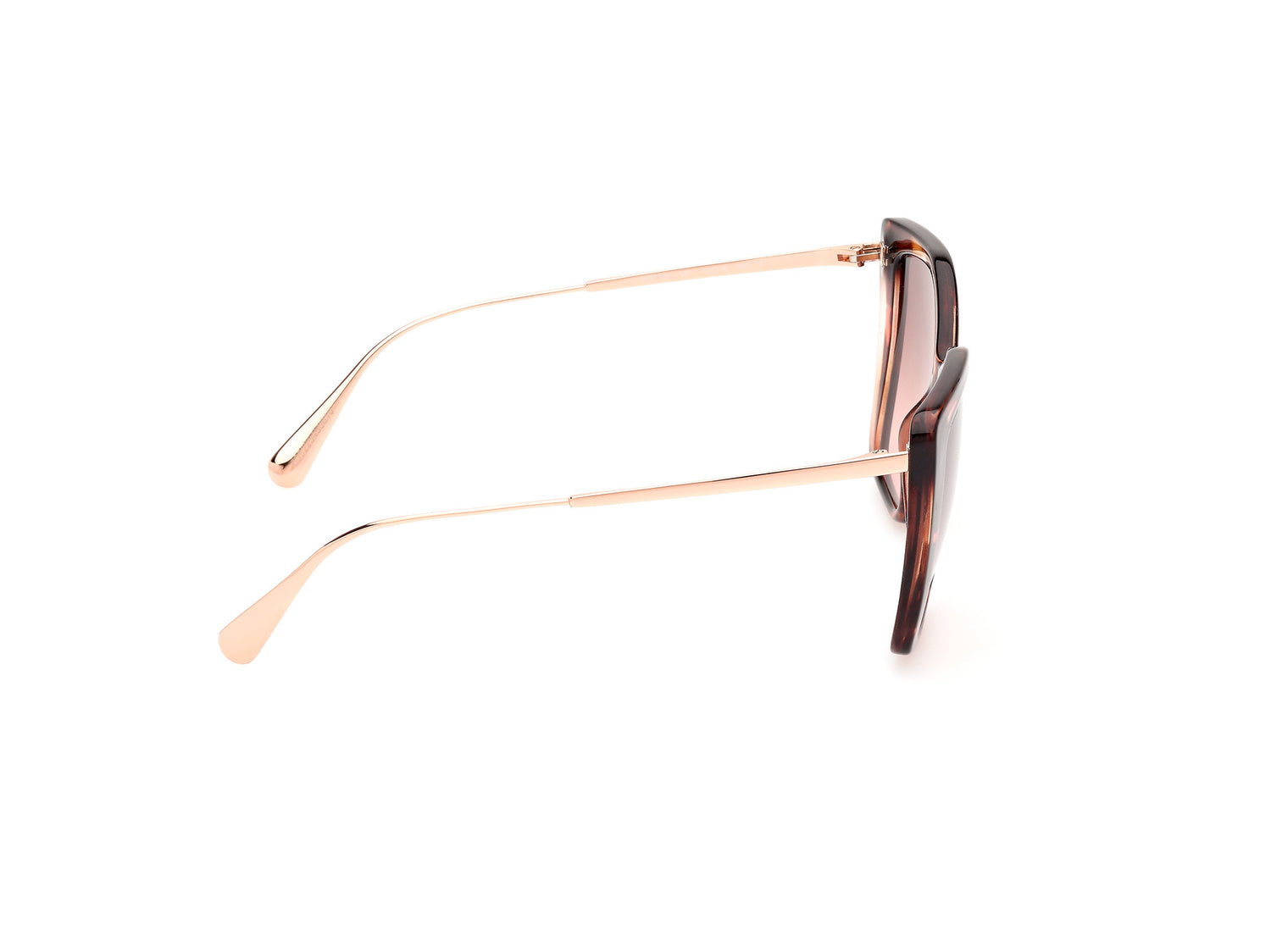 MAX &amp;CO MO0065 55F 54