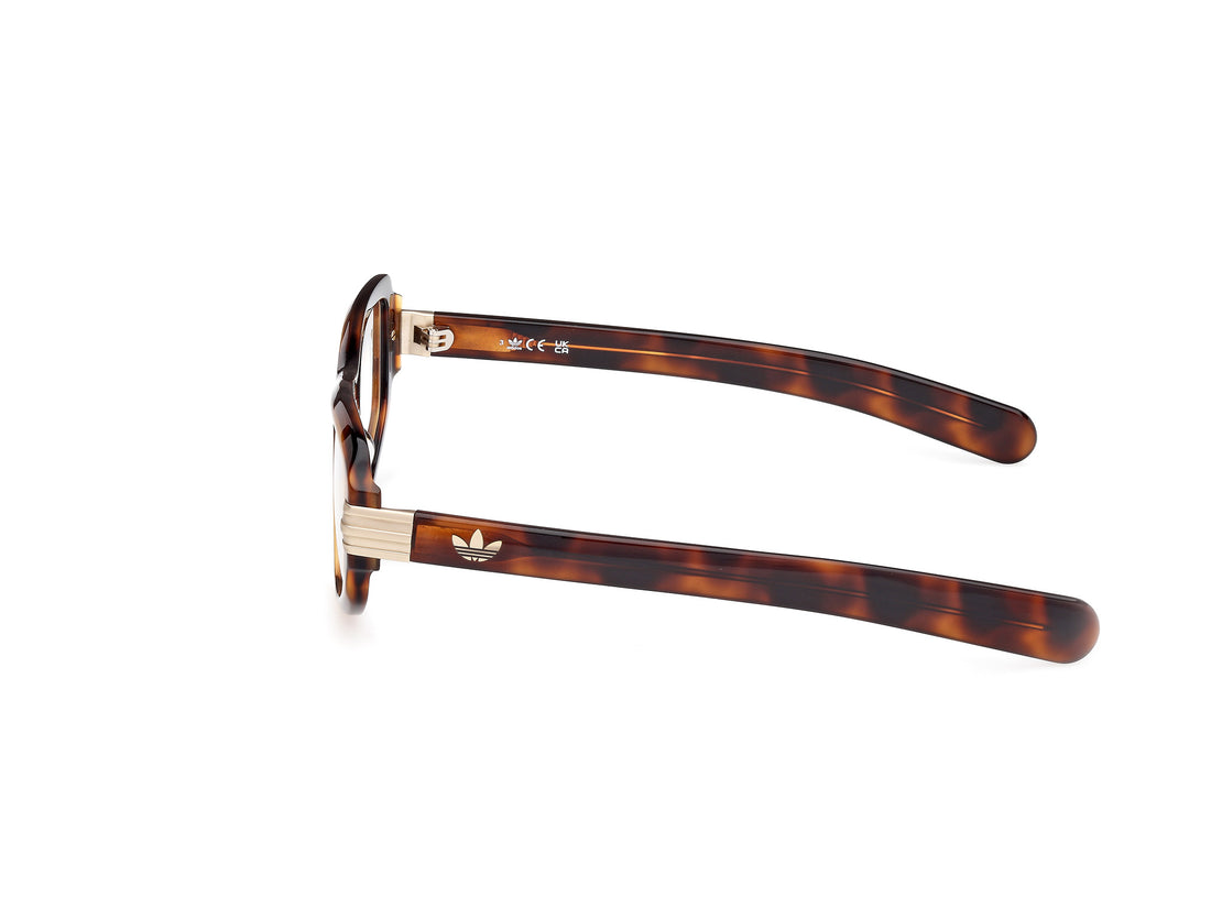Óculos graduados adidas originals or5104 052 cat eye femenino tamanho 52mm - Vista de detalhe