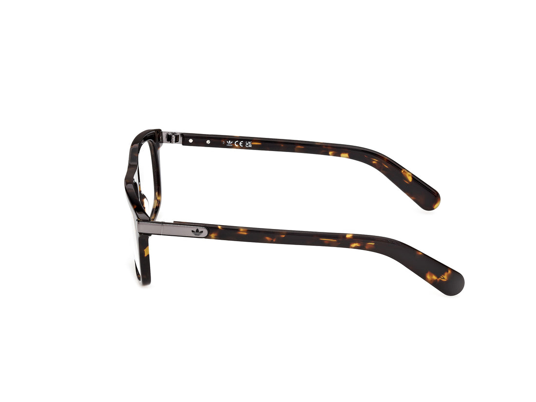 Brillen adidas originals or5142 052 havana square unisex größe 55mm - Detailansicht