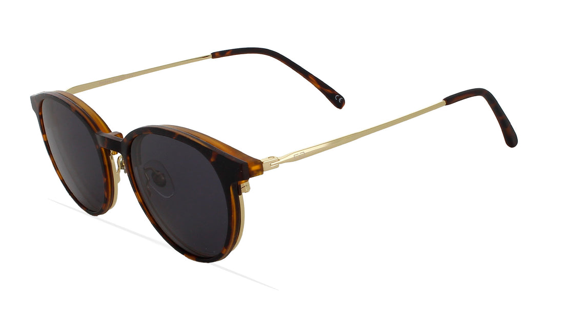 Lunettes de vue greyhounders rodas + clip-on havana havana unisex taille 50mm - Vue principale