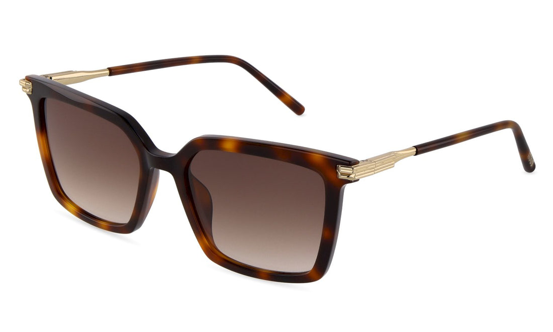 Sonnenbrillen tous stod59 0752 havana square femenino größe 54mm - Hauptansicht
