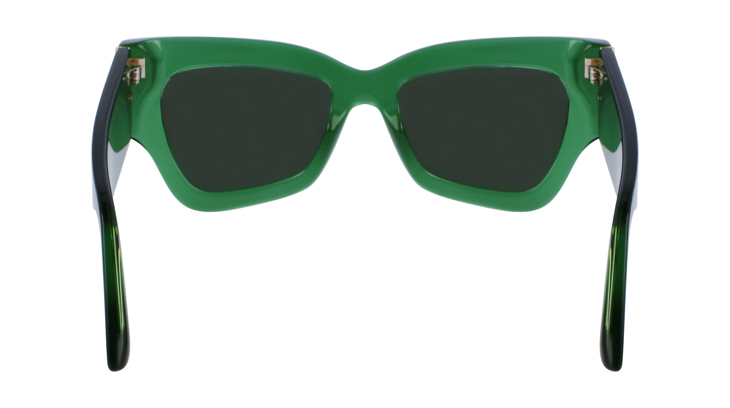 VICTORIA BECKHAM VB662S 300 52