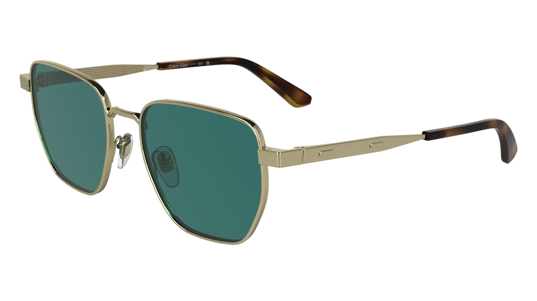 CALVIN KLEIN CK25100S 716 53