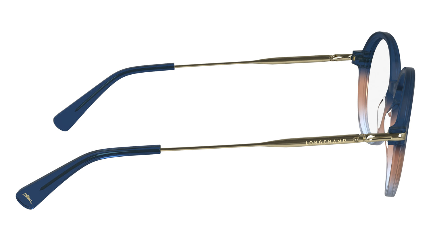 LONGCHAMP LO2736 436 50