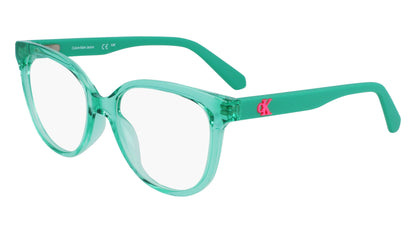 CALVIN KLEIN JEANS CKJ23303 300 49