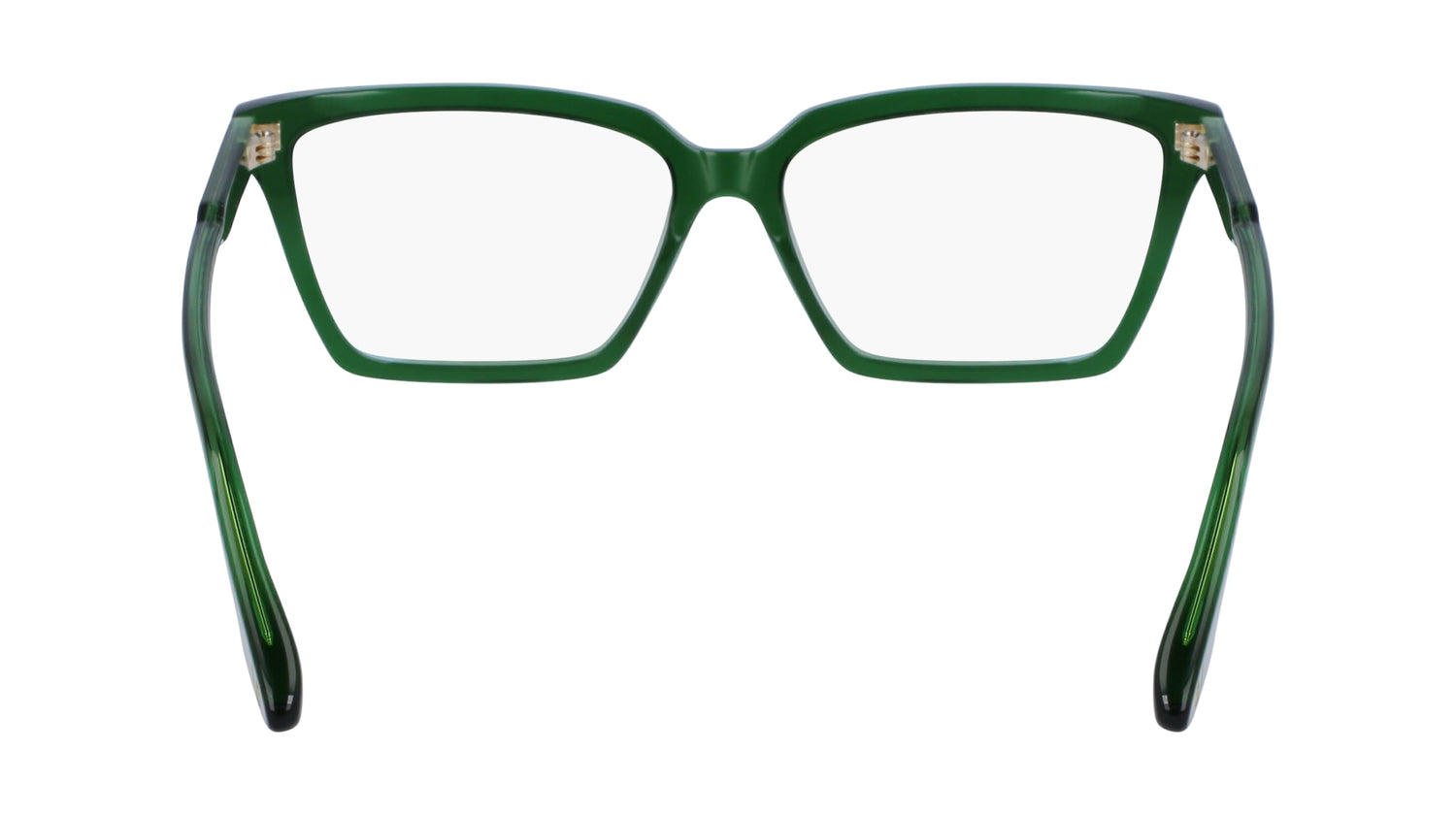 VICTORIA BECKHAM VB2653 300 55