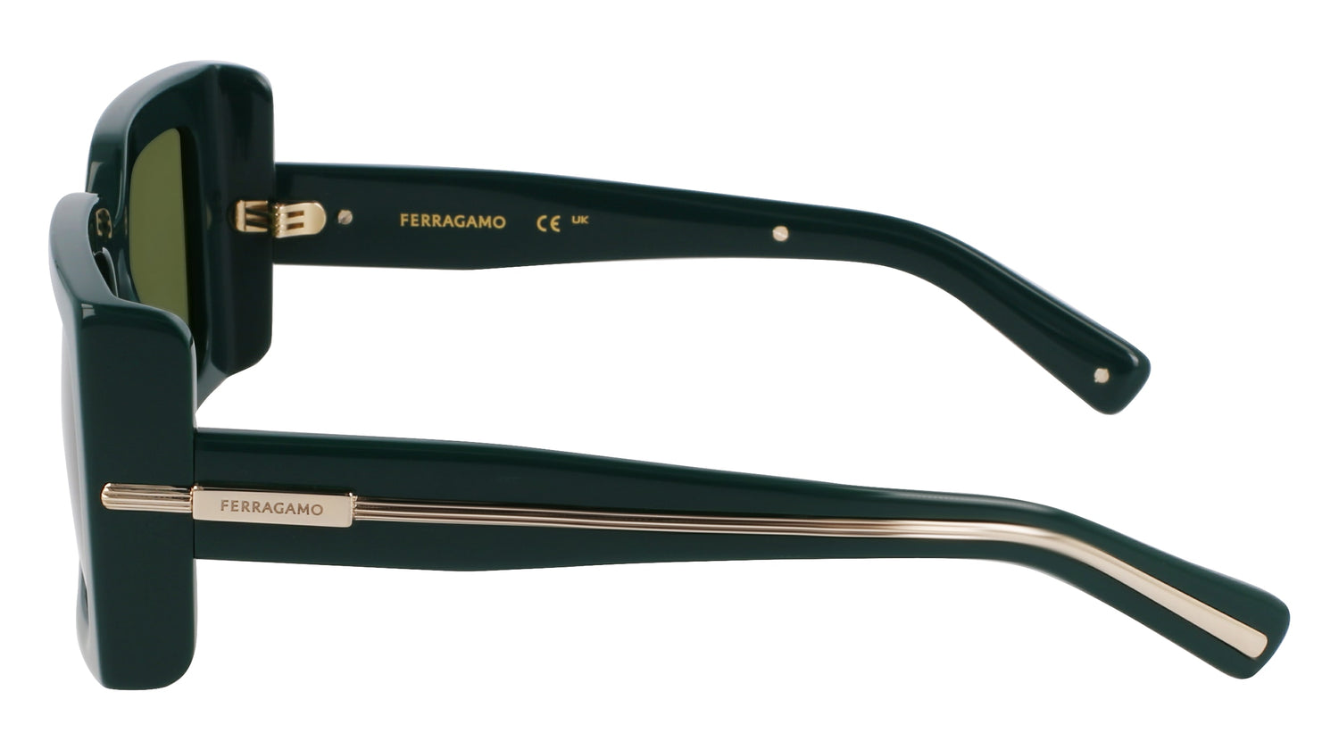 FERRAGAMO SF2032S 302 55