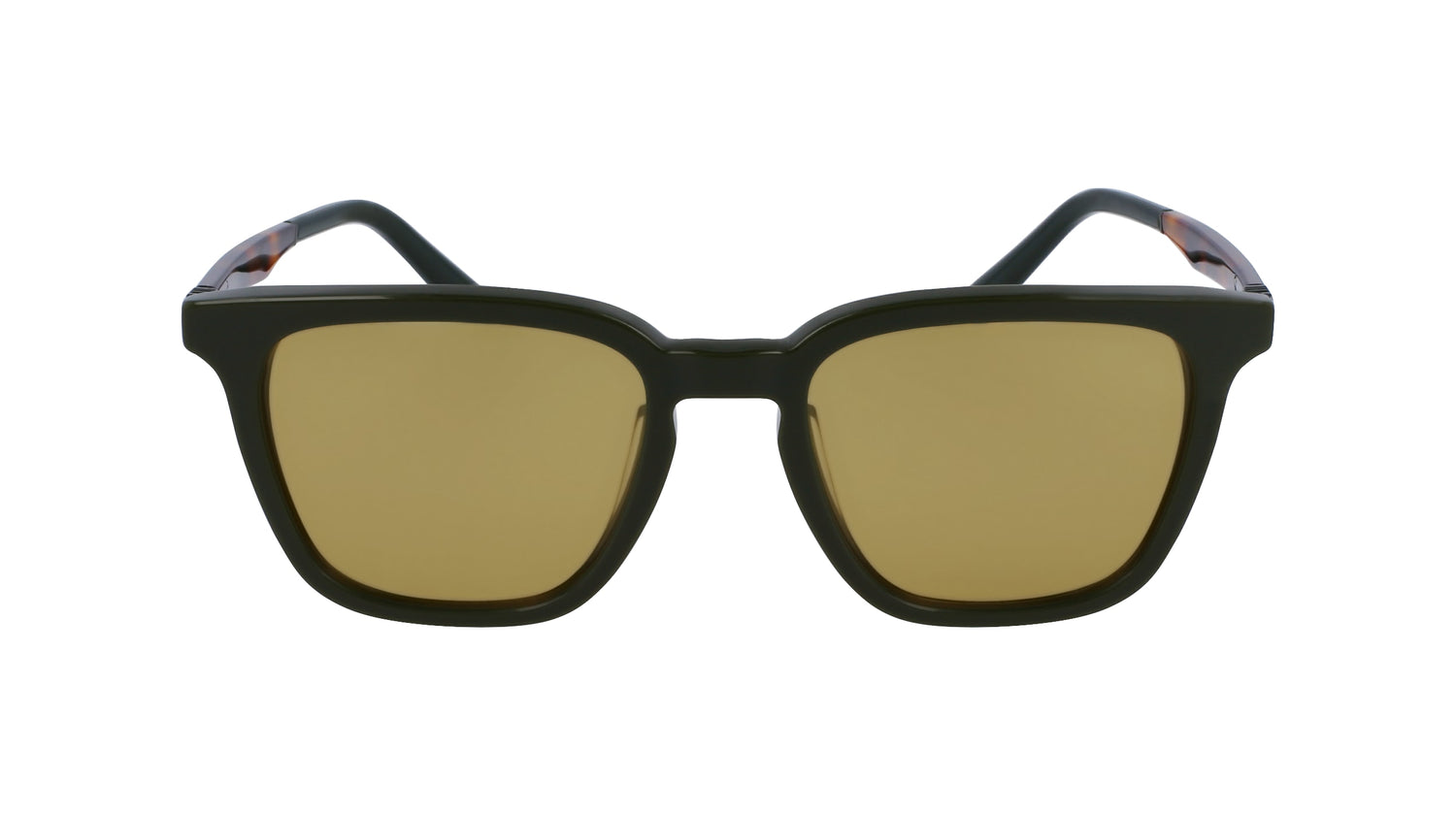 FERRAGAMO SF1100S 302 52