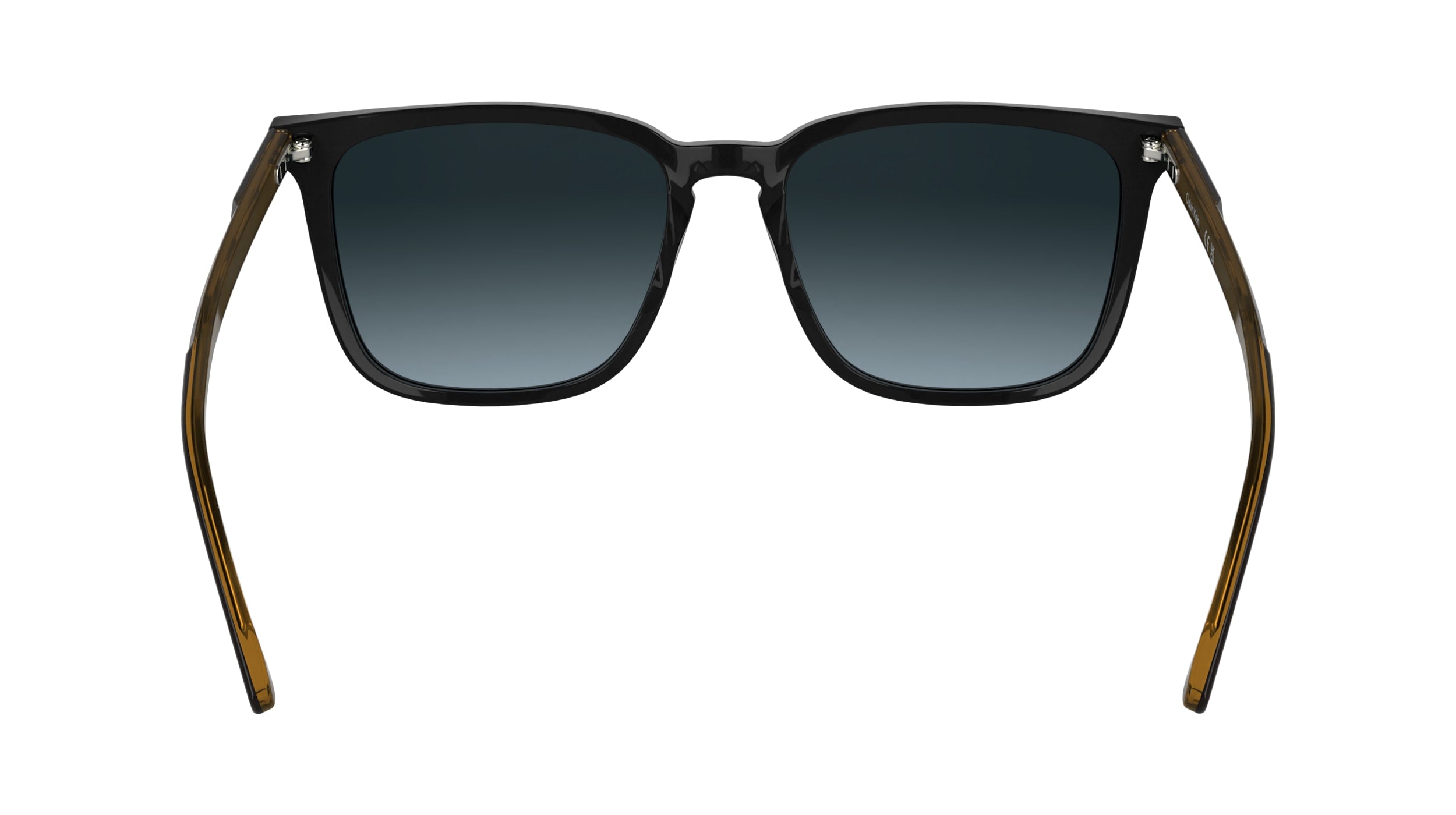 CALVIN KLEIN CK25507S 001 54