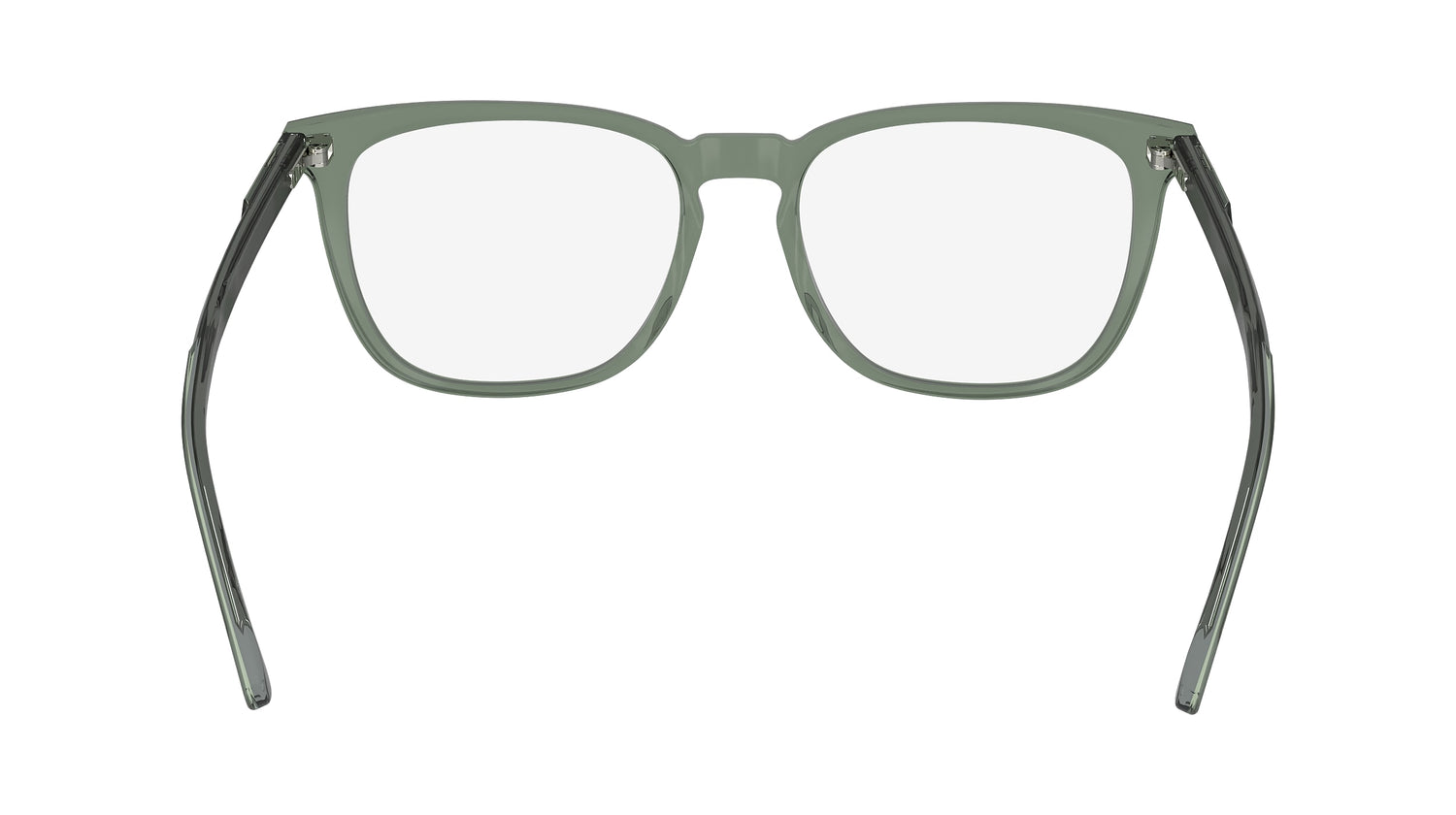 CALVIN KLEIN CK24519 300 53