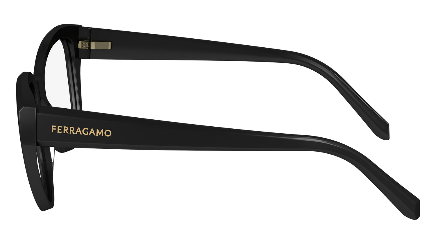 FERRAGAMO SF2970 001 53