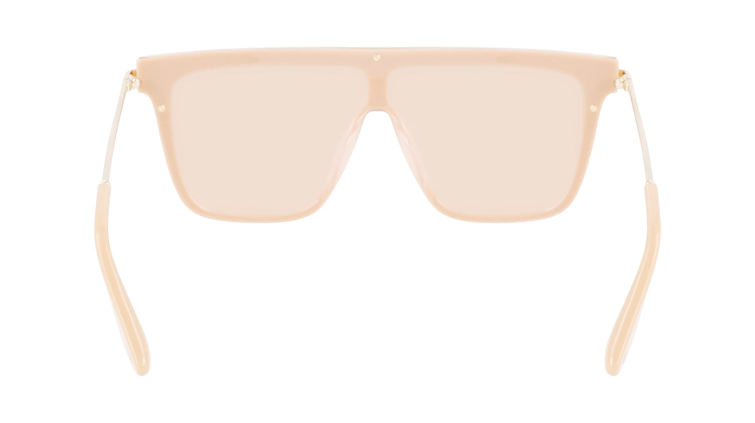 VICTORIA BECKHAM VB650S 243 53