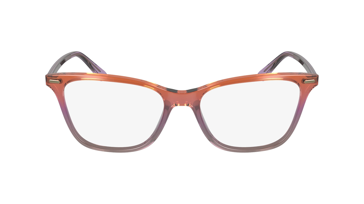 CALVIN KLEIN CK23544 815 53