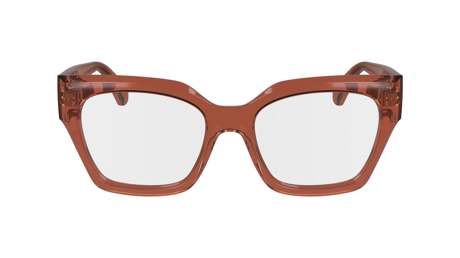 FERRAGAMO SF2983 224 53