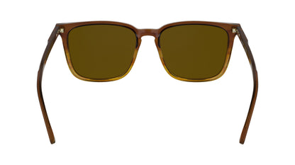 CALVIN KLEIN CK25507S 203 54