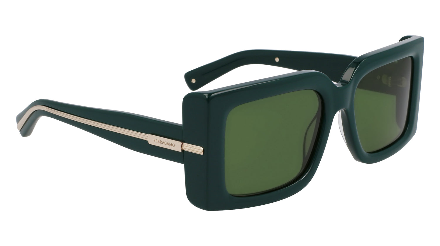 FERRAGAMO SF2032S 302 55