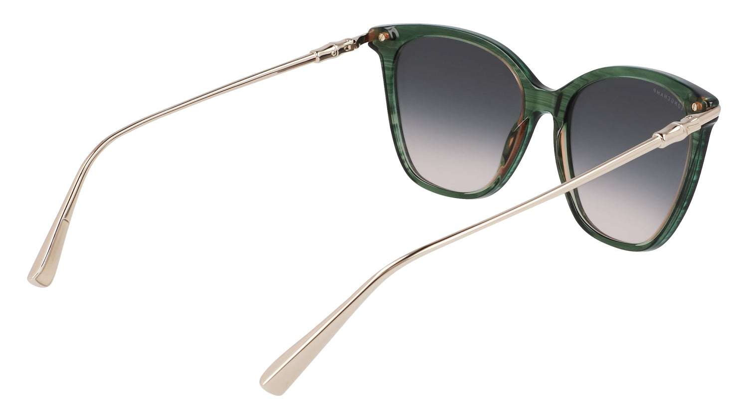 LONGCHAMP LO757S 308 55