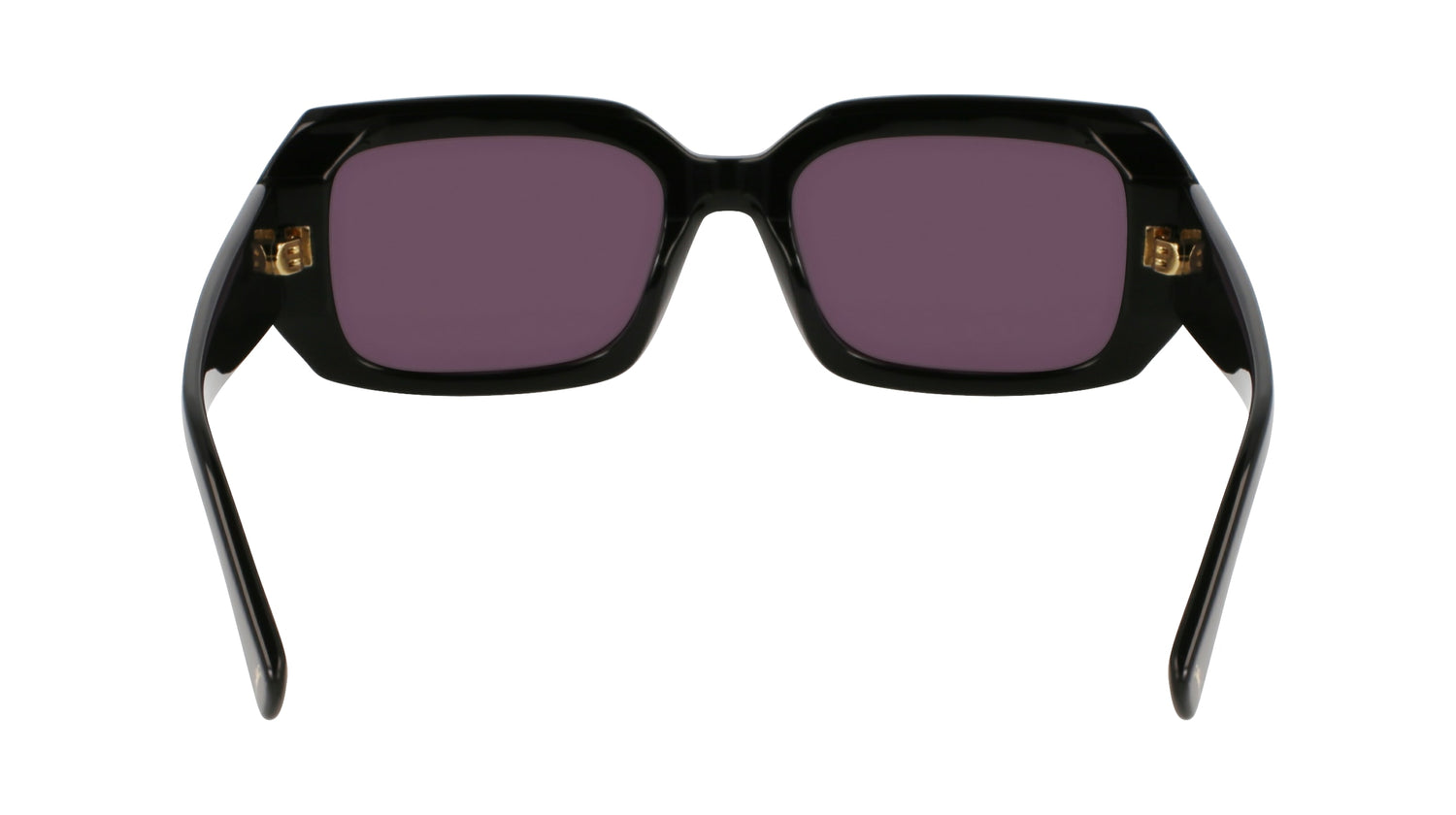 LONGCHAMP LO765S 001 53