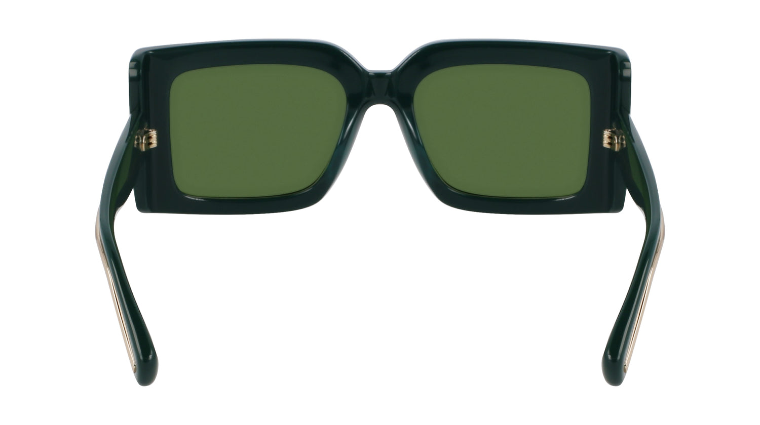 FERRAGAMO SF2032S 302 55