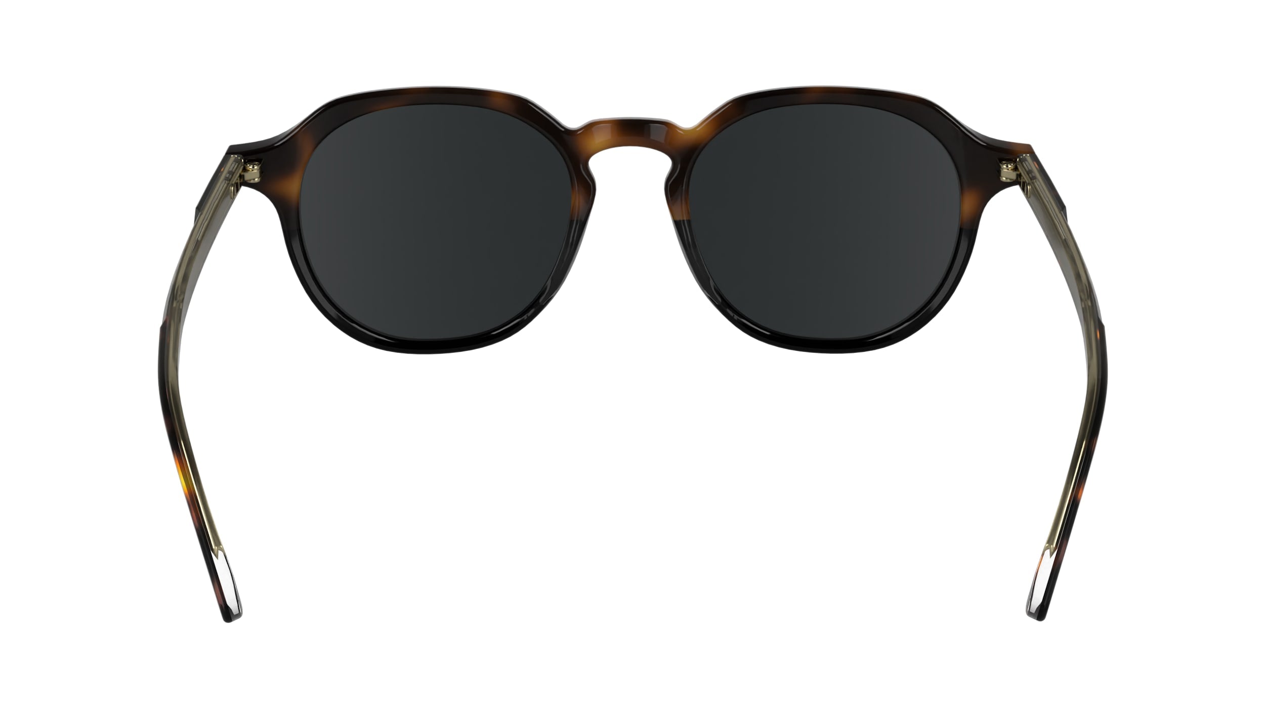 CALVIN KLEIN CK24538S 233 51