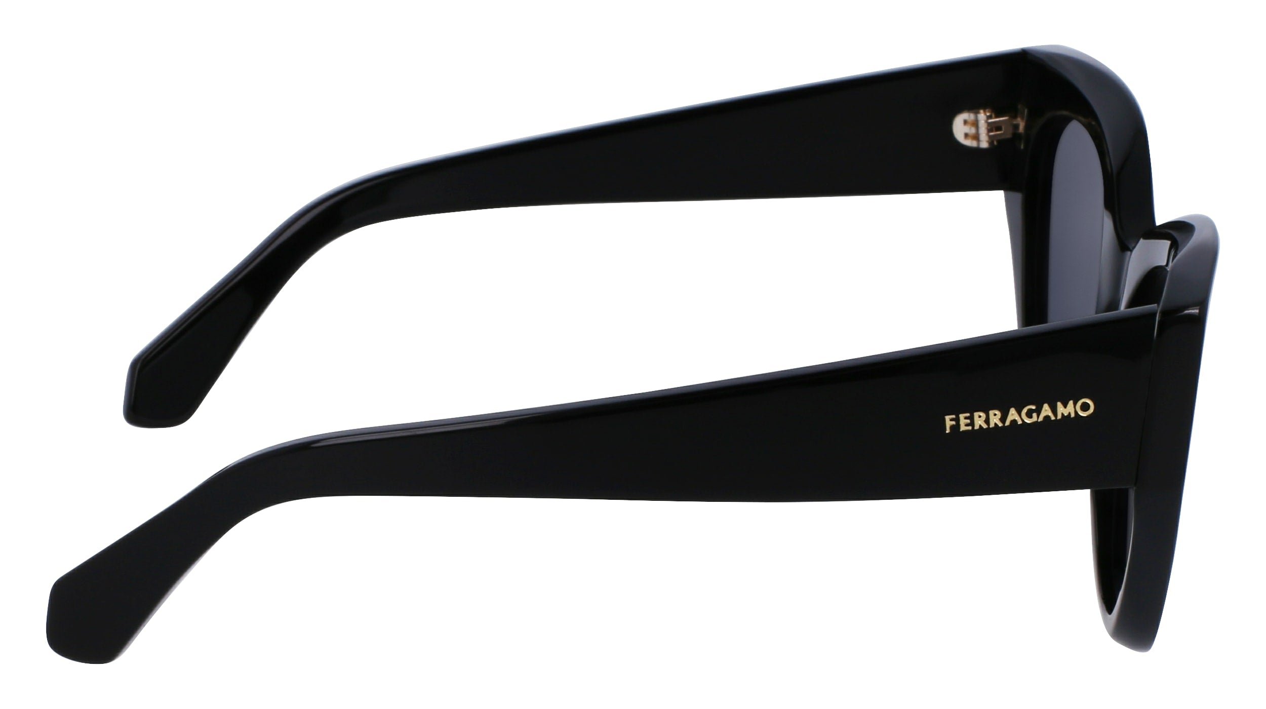 FERRAGAMO SF1107S 001 55