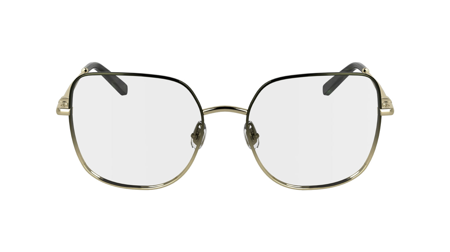 LONGCHAMP LO2167 713 53