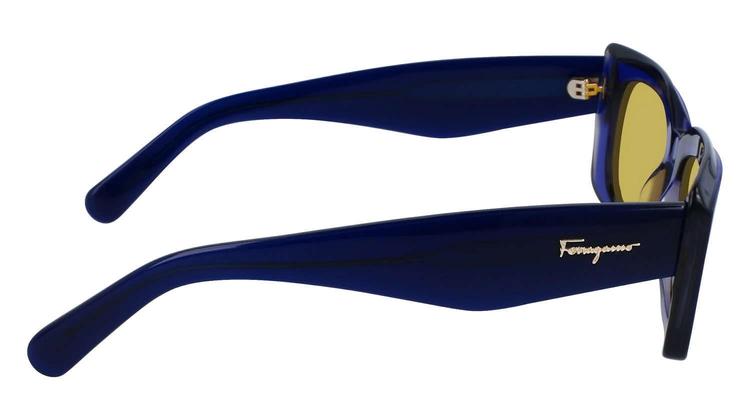 FERRAGAMO SF1079S 435 54