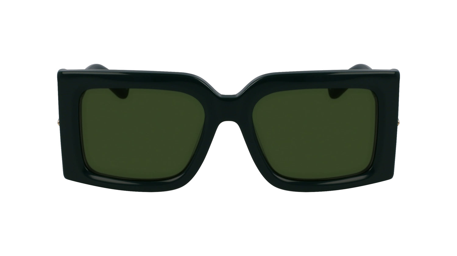 FERRAGAMO SF2032S 302 55