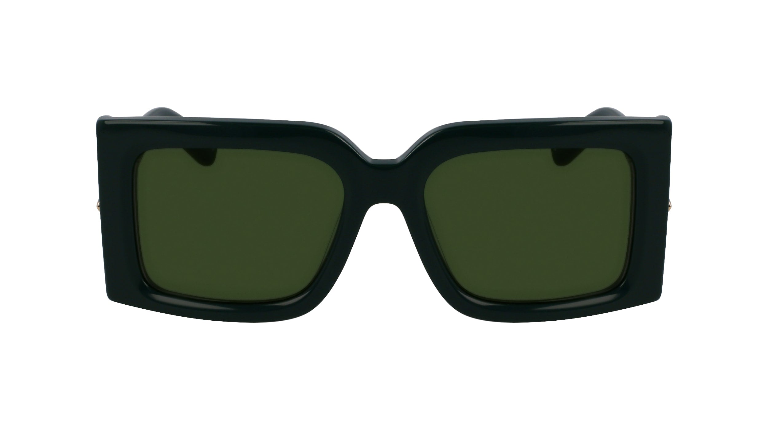 FERRAGAMO SF2032S 302 55