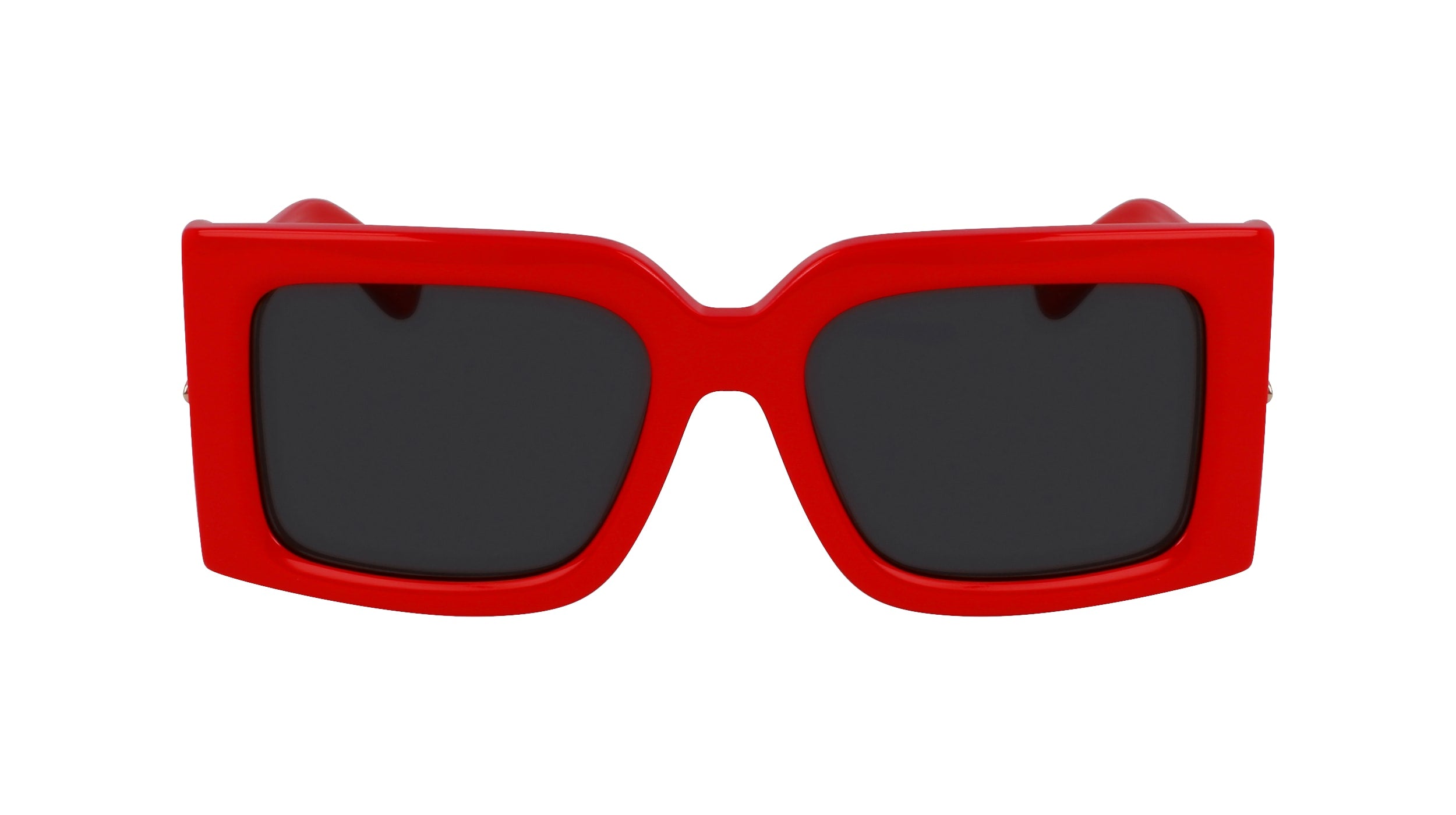 FERRAGAMO SF2032S 600 55